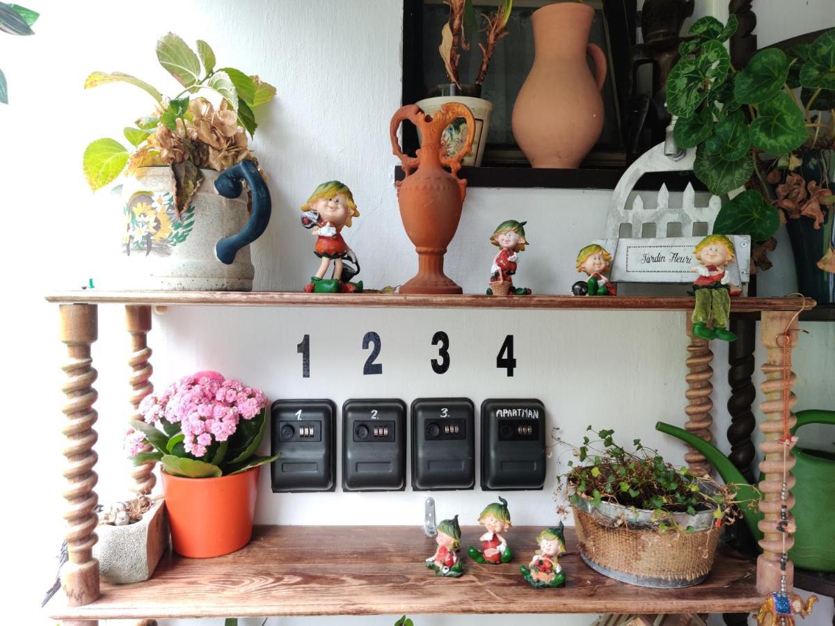 Homestay Mezna 85